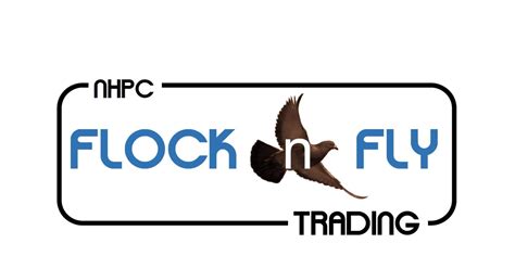 Flock n' Fly .